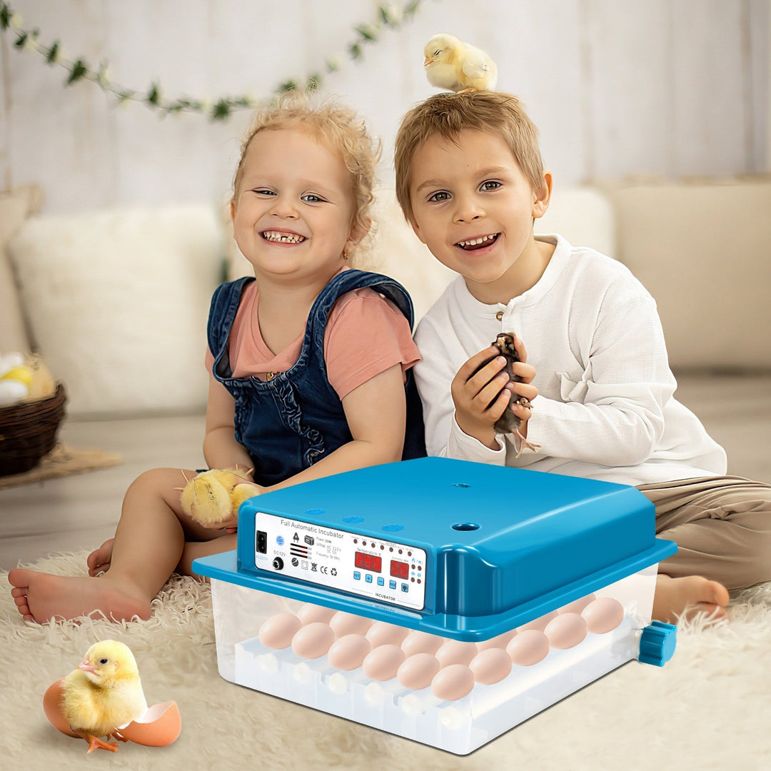 Brutautomat Fully Automatic Incubator for Chickens 36 Eggs | Stornfield