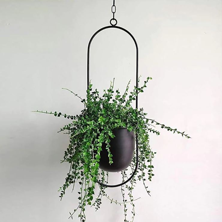 Stylish Indoor and Outdoor Plant Hanger - LeafLuxe | Stornfield