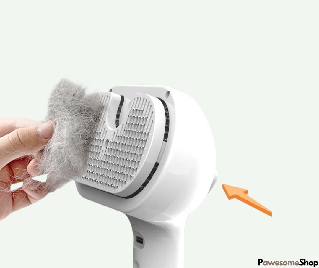 Pet Steam Brush with Steam Cleaning | Stornfield
