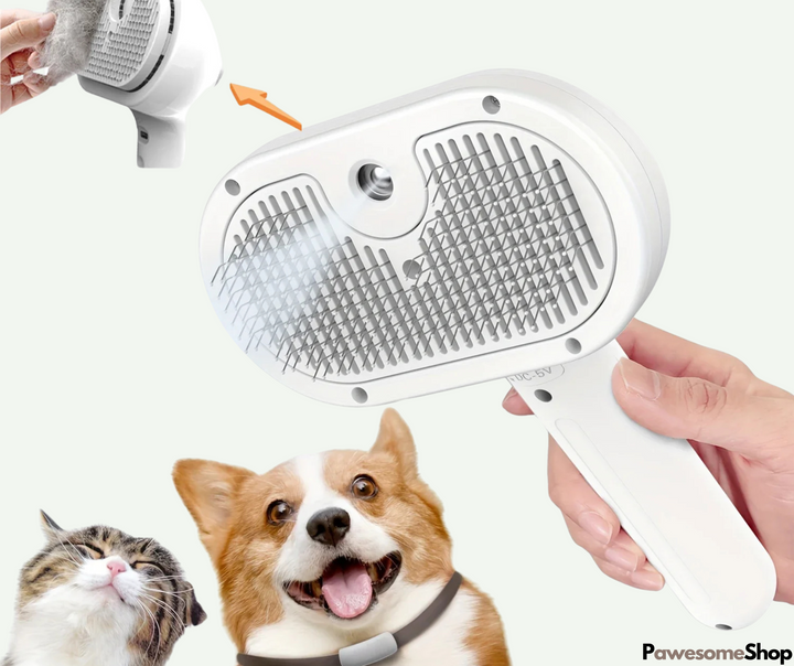 Pet Steam Brush with Steam Cleaning | Stornfield