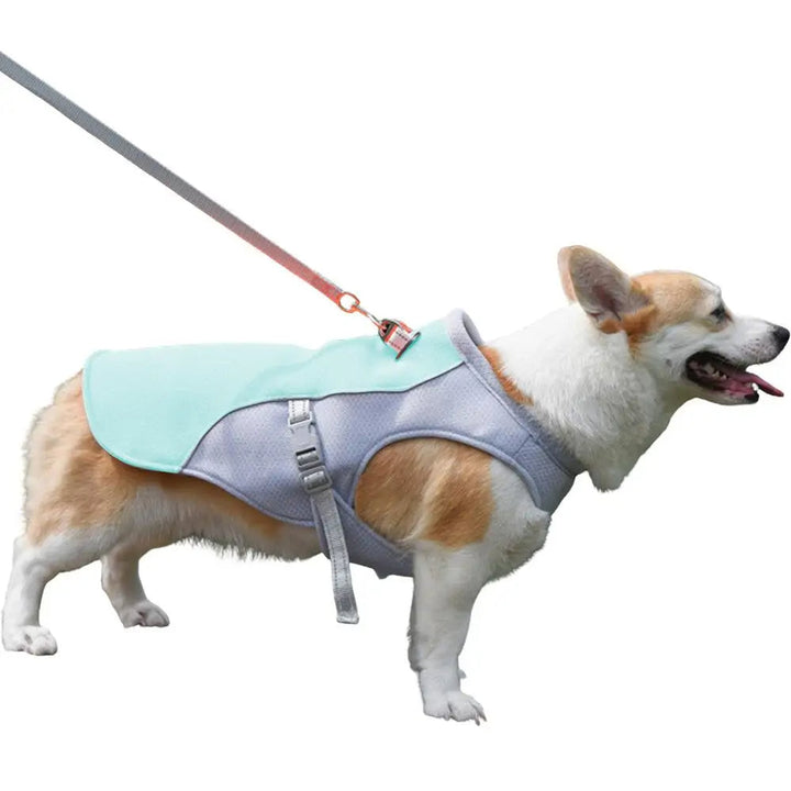 Dog Cooling Vest for Outdoor Activities | Stornfield