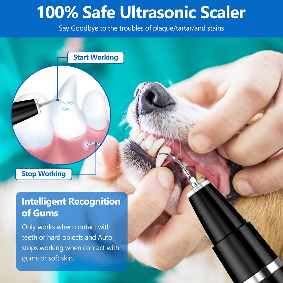 BuddyCare Ultrasonic Pet Dental Cleaning Kit Stornfield