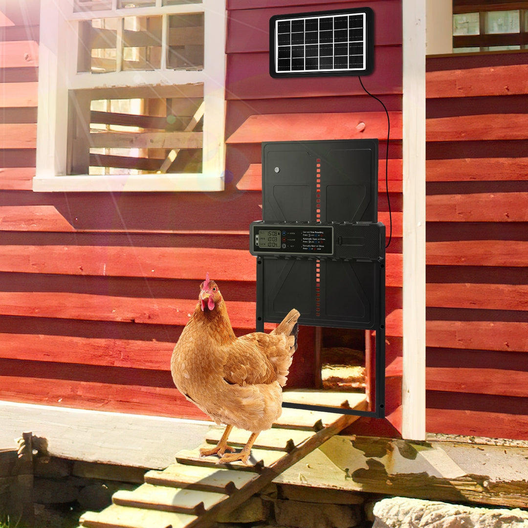Electric Chicken Coop Door Solar with LED Display and Remote Control | Stornfield
