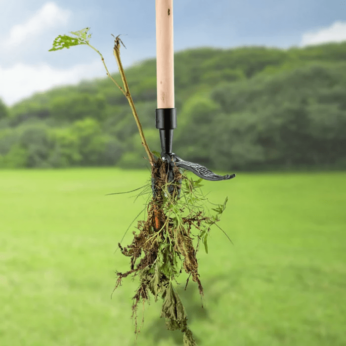 RootRage — Free your garden from weeds painlessly and feel the pure power of nature! | Stornfield