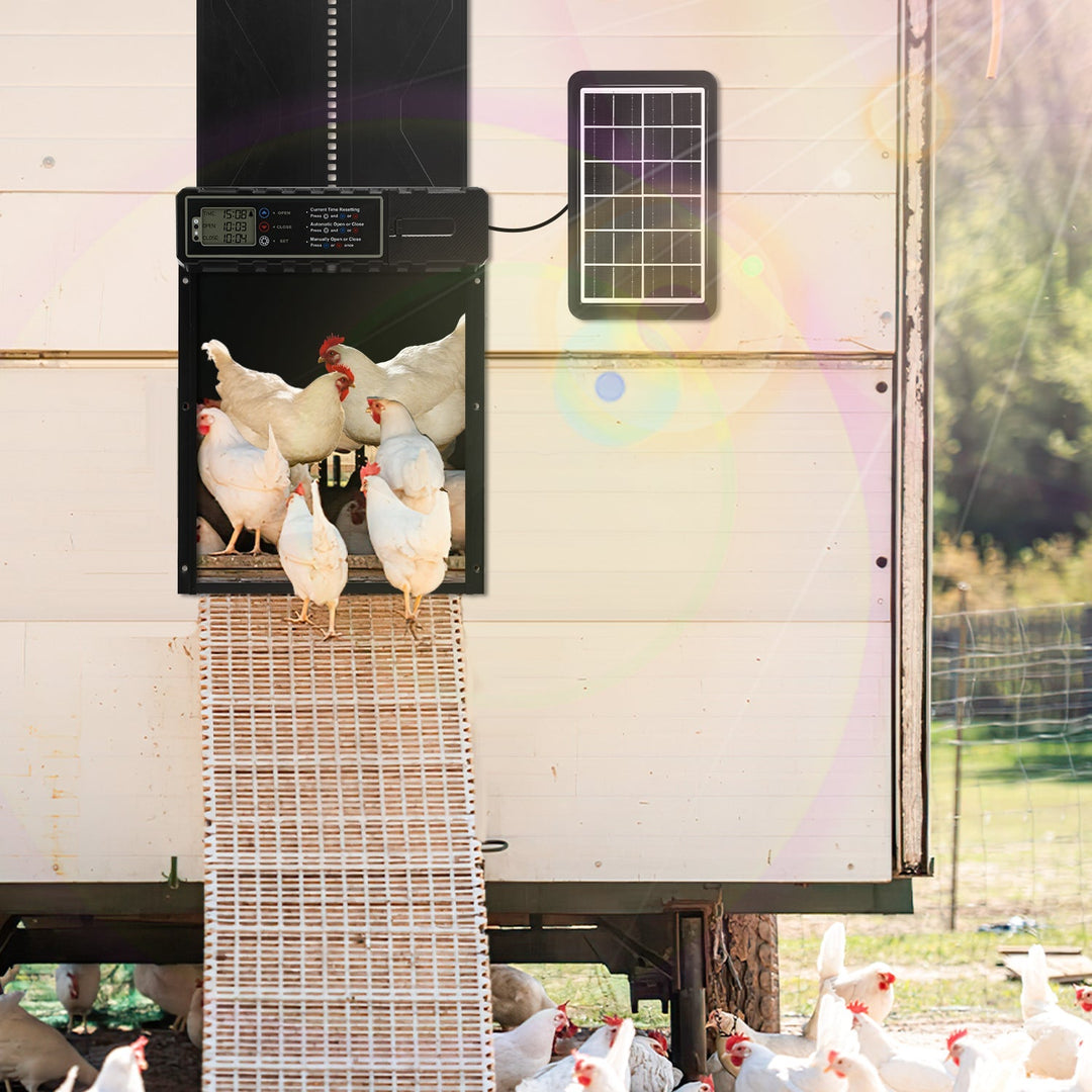 Electric Chicken Coop Door Solar with LED Display and Remote Control | Stornfield