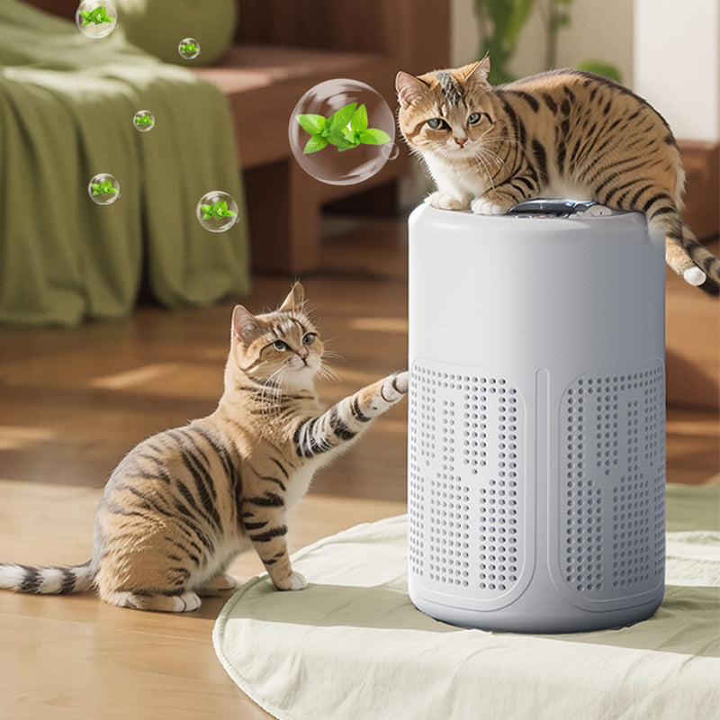 PureMist Air Purifier — Frees your rooms for deep, fresh breathing pleasure | Stornfield