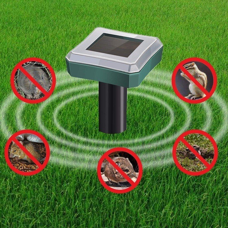 Repel pests - Healthy and protected garden - Environmentally friendly and effective | Stornfield