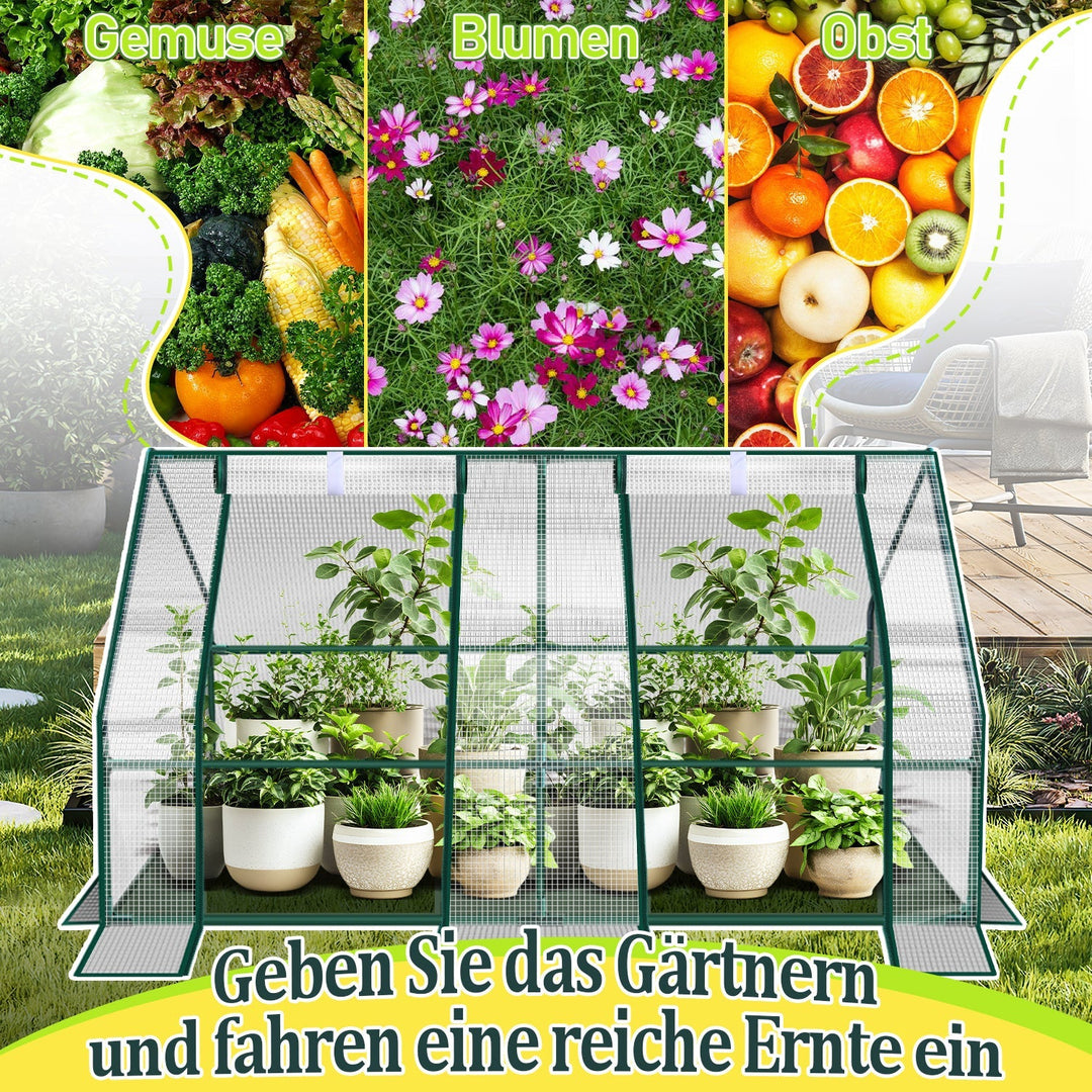Greenhouse Tomato Greenhouse Hothouse | Stornfield