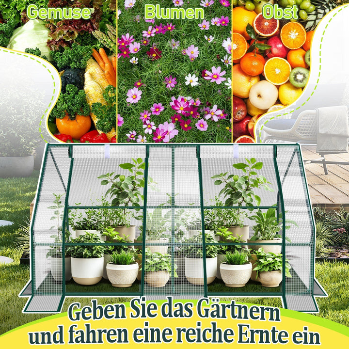 Greenhouse Tomato Greenhouse Hothouse | Stornfield