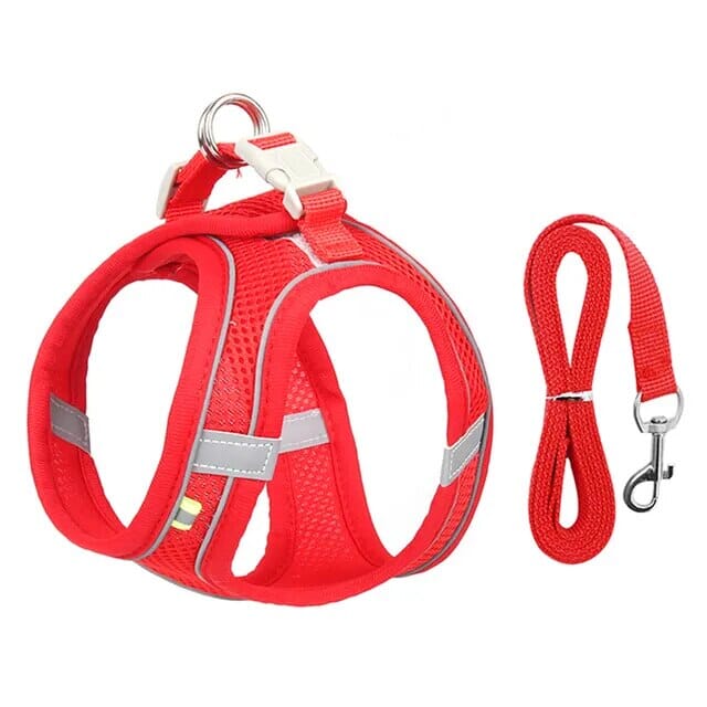 Stornfield Venture Dish & Leash