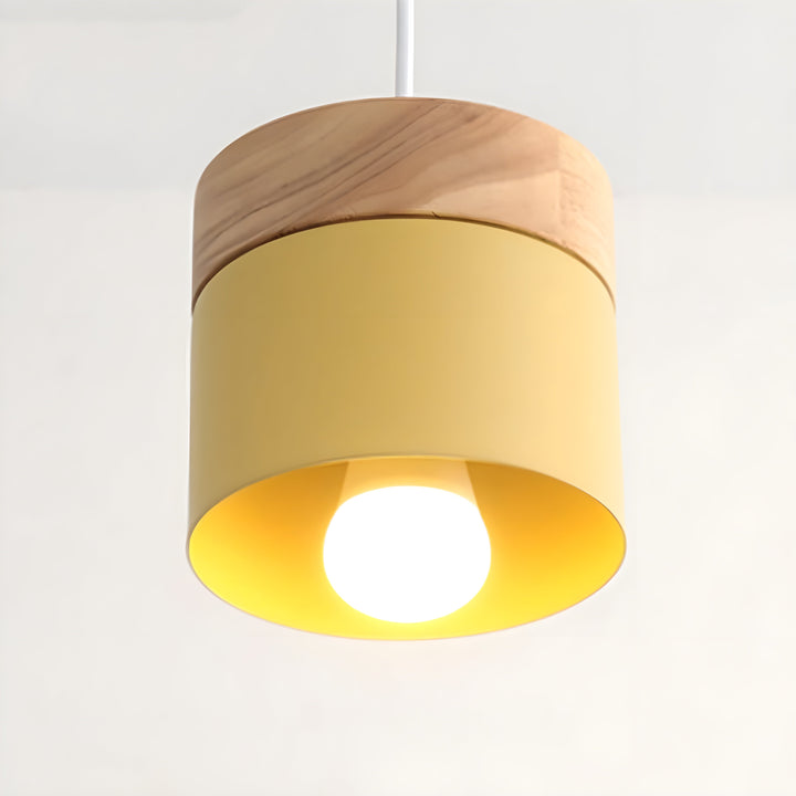 Loft Style Macaron Pendant Light | Stornfield