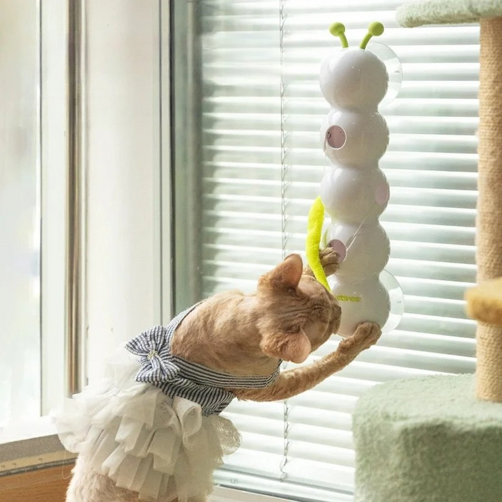 Automatic pop-up cat toy with motion sensor | Stornfield