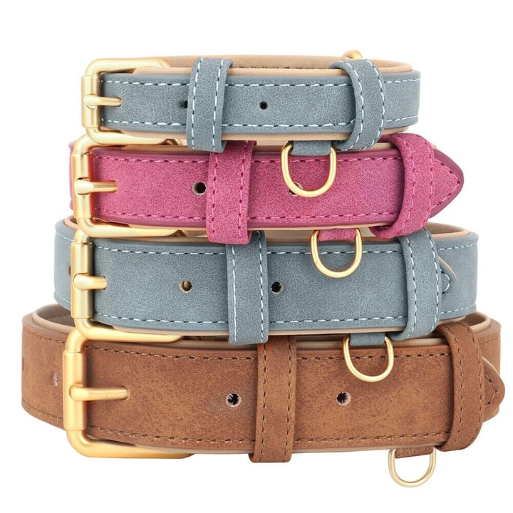 Stornfield Pup Collar