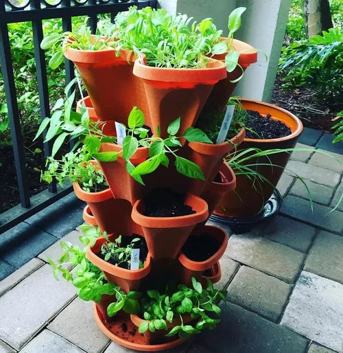 Stornfield | Vertical Garden - PlantStack - Space-saving - Green Grid Solution