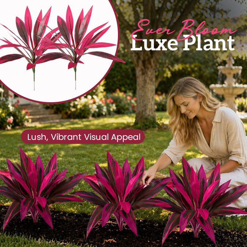 VerdoGlow — Vibrant freshness without effort that will transform your home forever | Stornfield