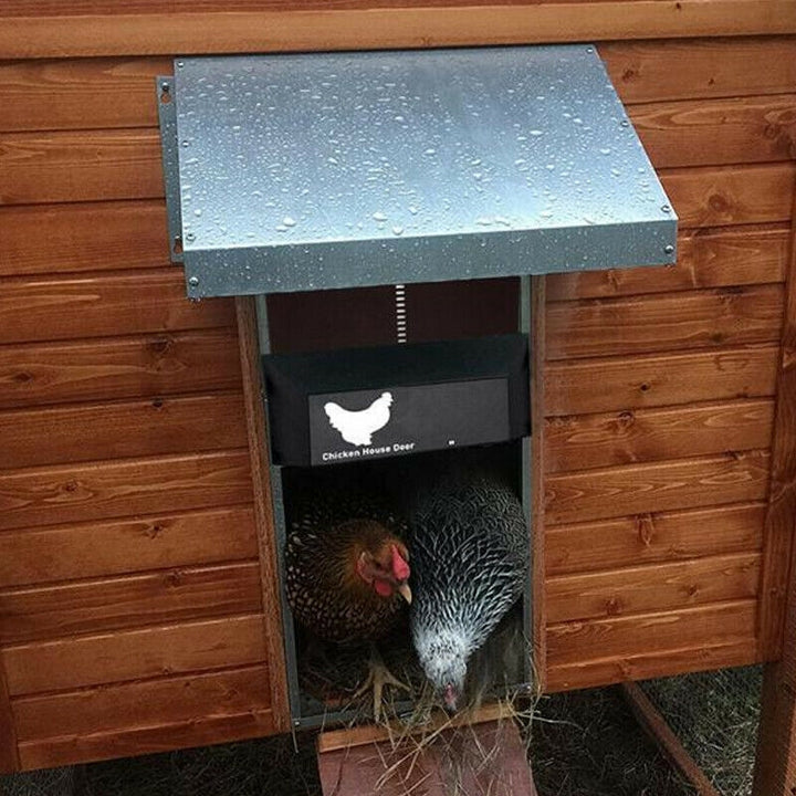 Coop-Wache | Automatic Chicken Door | Stornfield