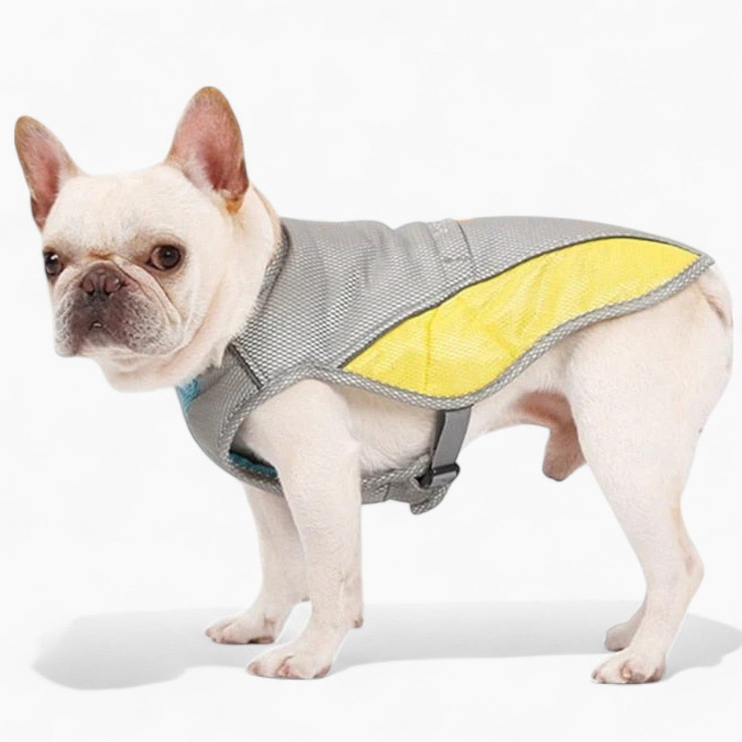 Coolify™ : Cooling Vest for Frenchie (CS13) | Stornfield