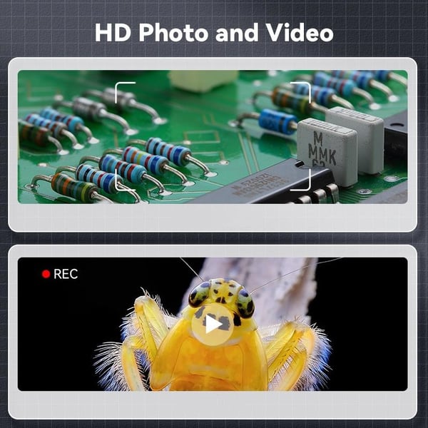 ExtremaZoom — Discover the invisible and become a master of the smallest details! | Stornfield