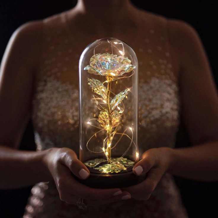 Rose in Glass Dome Display | Stornfield