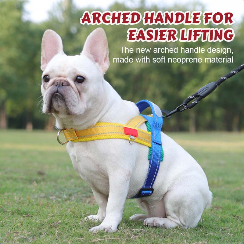 PawEase Comfort Harness — Relaxed Dressing and Unlimited Freedom for Your Dog | Stornfield