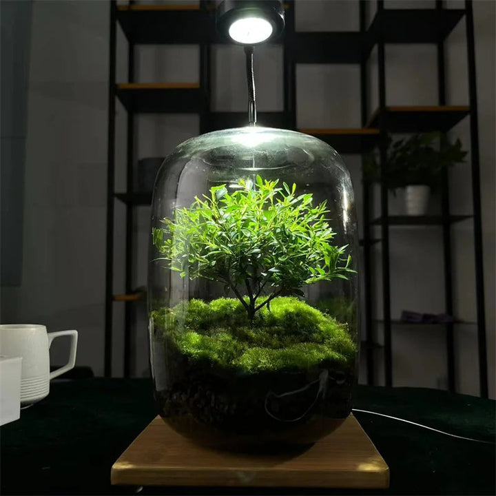 Micro Landscape Green Oasis Glass Vase | Stornfield