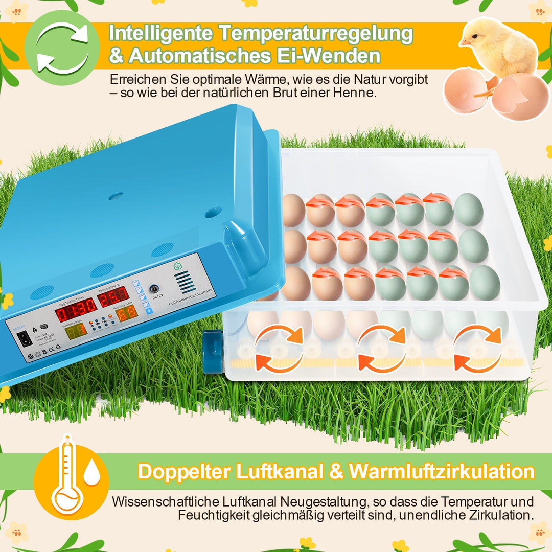 Brutautomat Fully Automatic Incubator for Chickens 64 Eggs | Stornfield