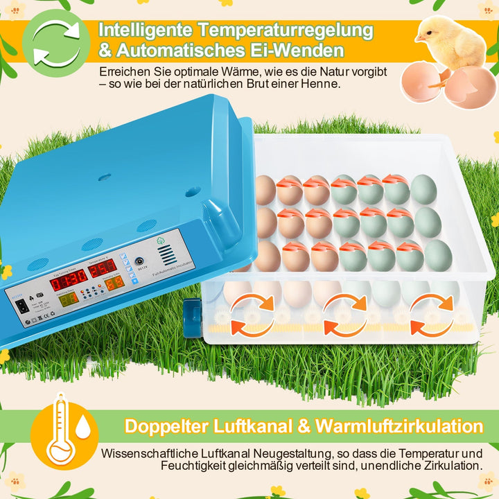 Brutautomat Fully Automatic Incubator for Chickens 64 Eggs | Stornfield