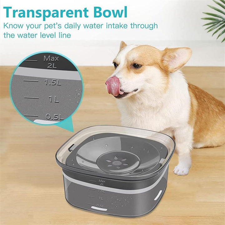 70oz leak-proof dog water bottle with visible water level | Stornfield