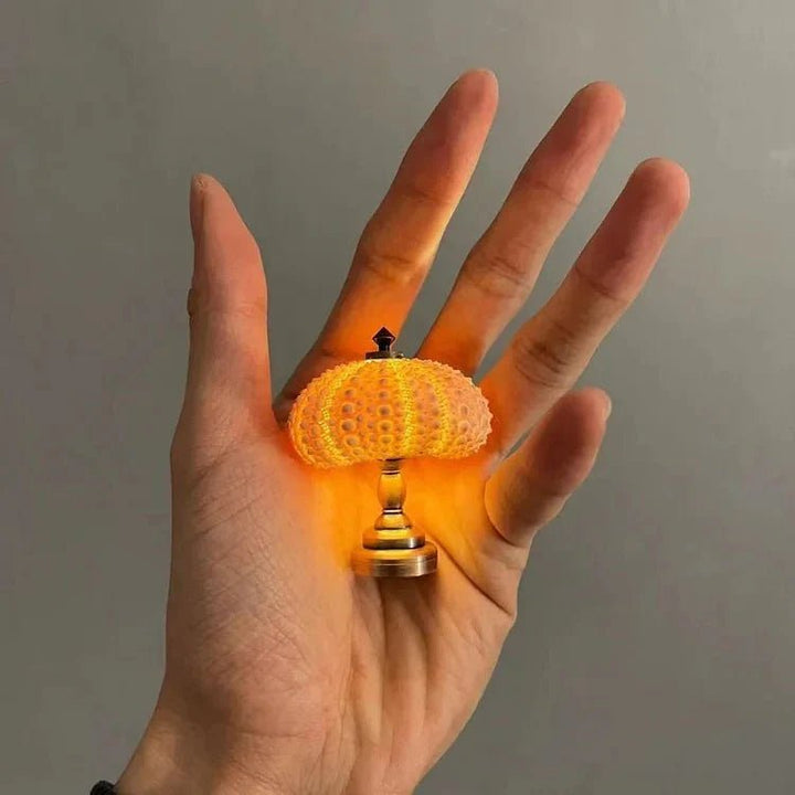 DIY Sea Urchin Night Light - LumiUrchin | Stornfield