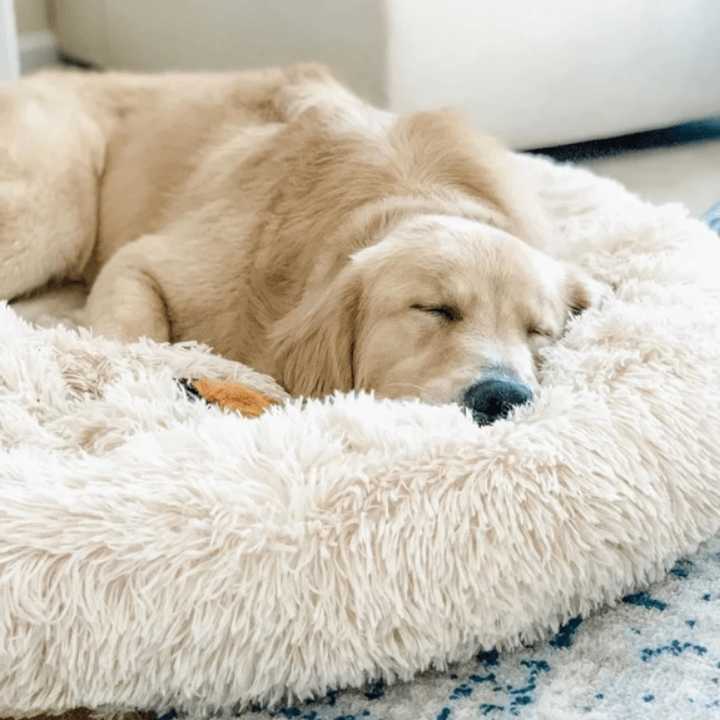 Stornfield | Donut Lit pour Chien en Peluche Calmant pour Chiens Petit à Grand