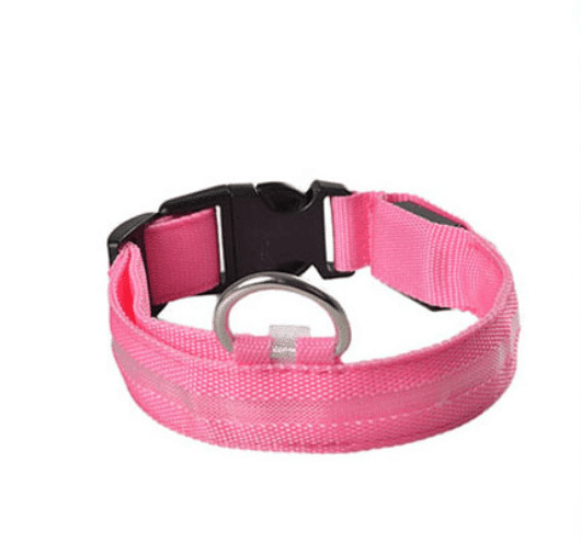 Dog collar with LED light | Stornfield