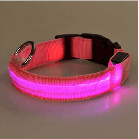 Dog collar with LED light | Stornfield