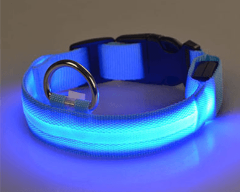 Dog collar with LED light | Stornfield