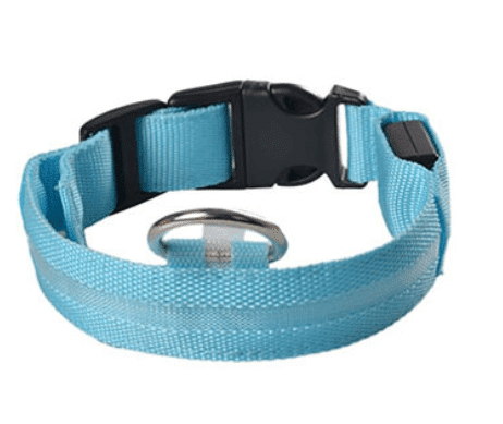 Dog collar with LED light | Stornfield