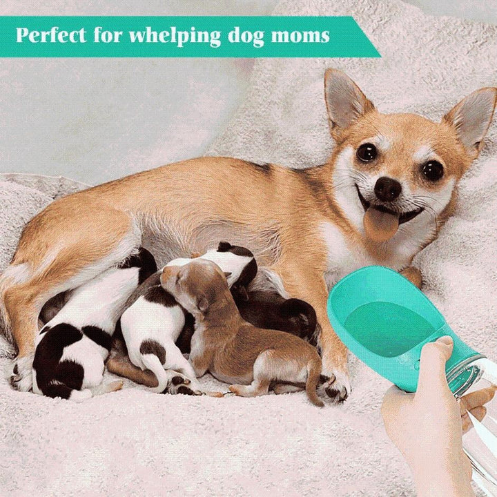 Dog Water Bottle | Stornfield