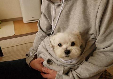 The Doggie Kangaroo Hoodie | Stornfield