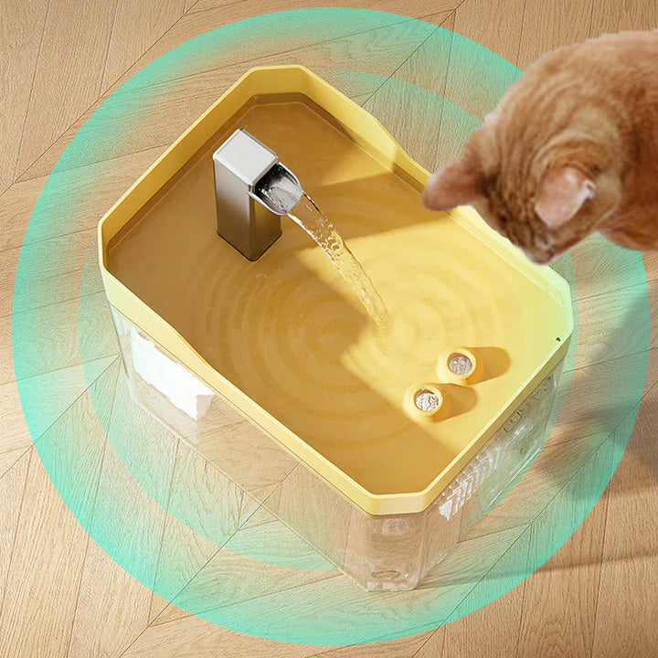 Automatic water dispenser for pets | Stornfield