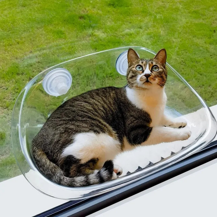 Cat-Safe-Hammock | The ultimate comfort for your cat | Stornfield