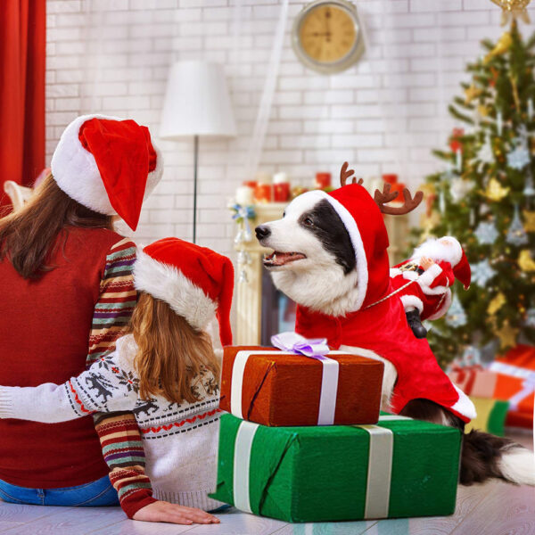 Dog Santa Claus Costume | Stornfield