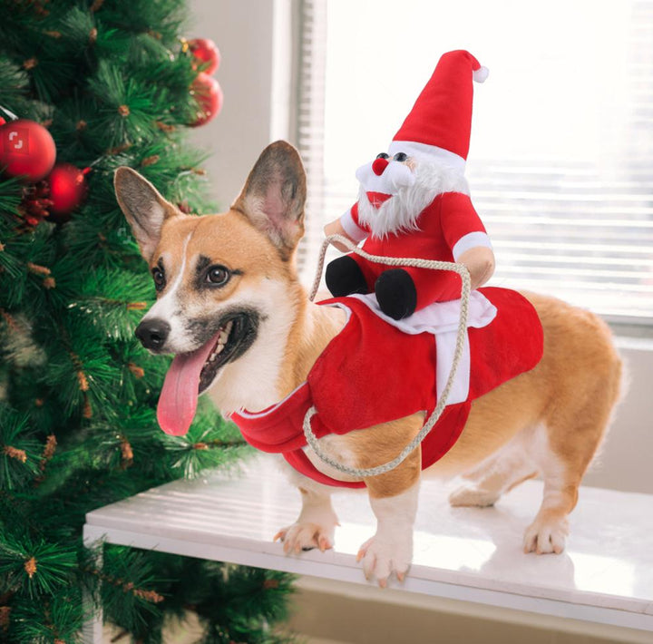 Dog Santa Claus Costume | Stornfield