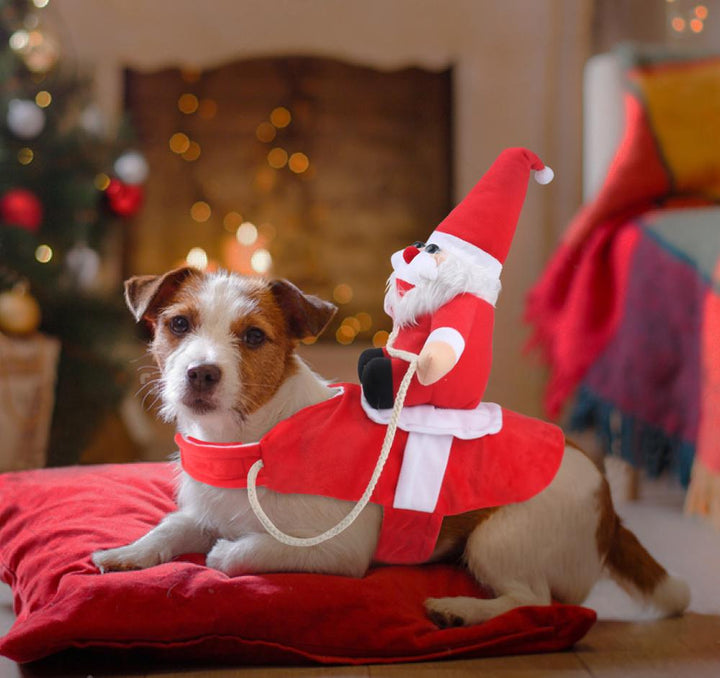 Dog Santa Claus Costume | Stornfield