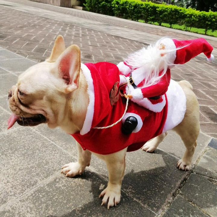 Dog Santa Claus Costume | Stornfield