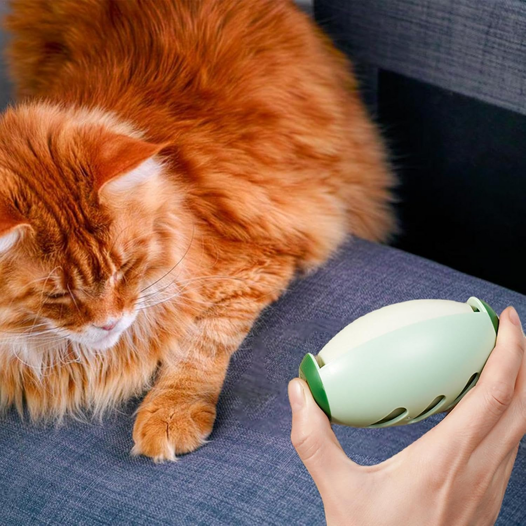 Sticky reusable pet hair remover | Mini, eco-friendly & effective | Stornfield
