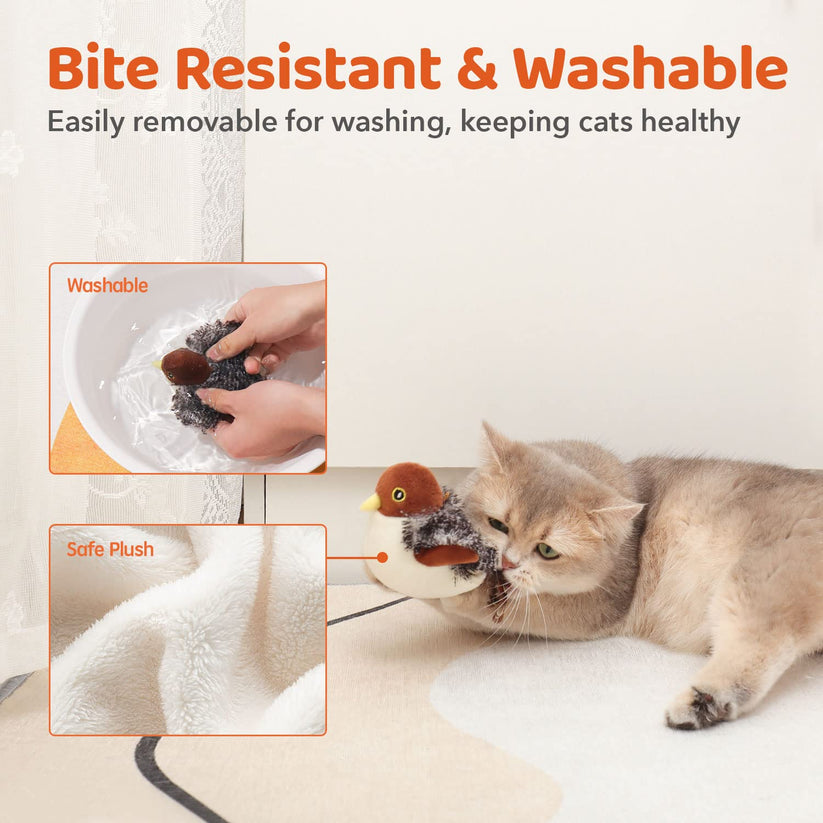 Flattering cat toy | Keeps cats happy and healthy! | Stornfield