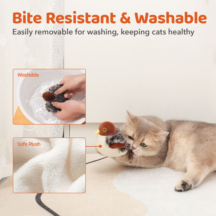 Flattering cat toy | Keeps cats happy and healthy! | Stornfield
