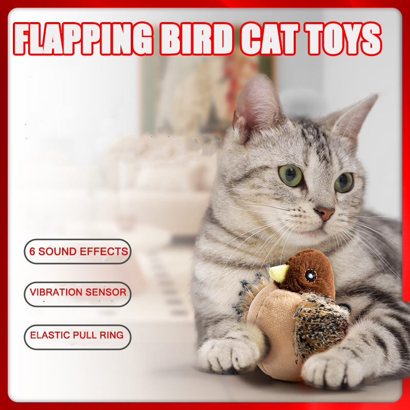Flattering cat toy | Keeps cats happy and healthy! | Stornfield