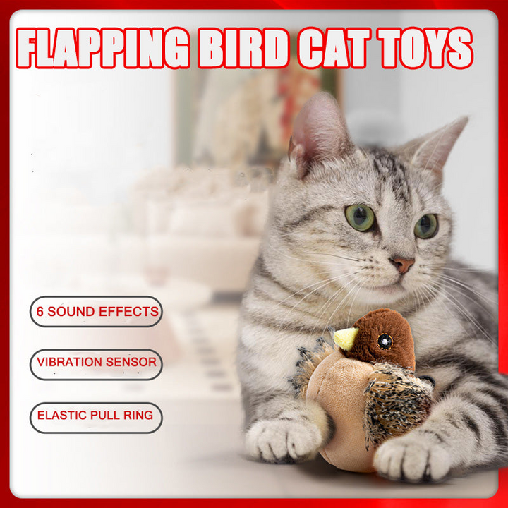 Flattering cat toy | Keeps cats happy and healthy! | Stornfield