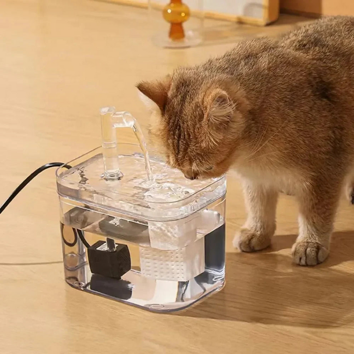 Automatic water fountain for pets | Clean, continuous water for your furry friend | Stornfield