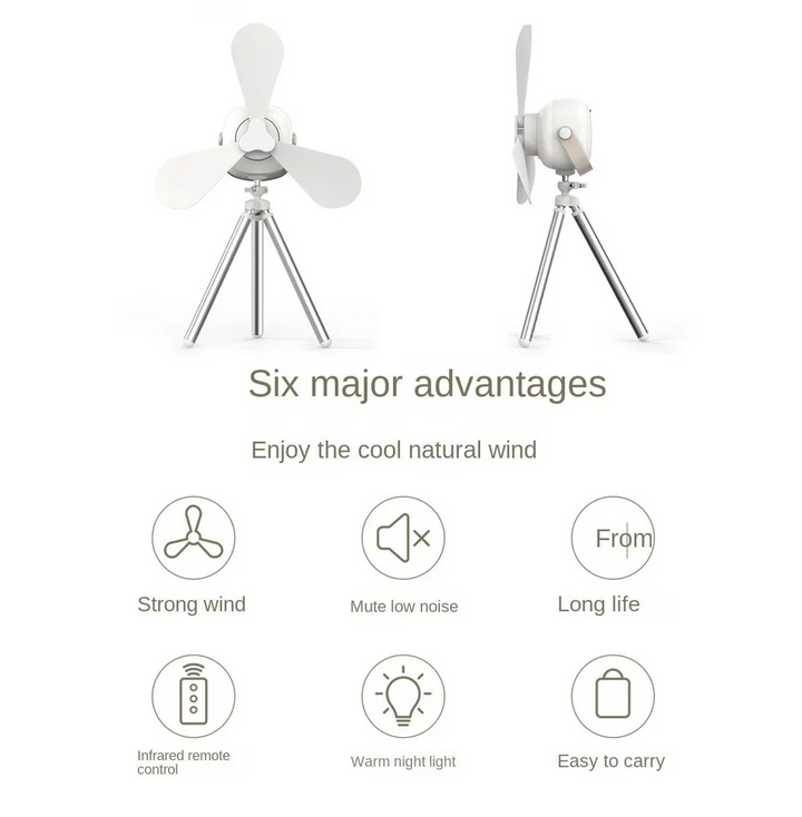 Wireless Celling Fan | Stornfield