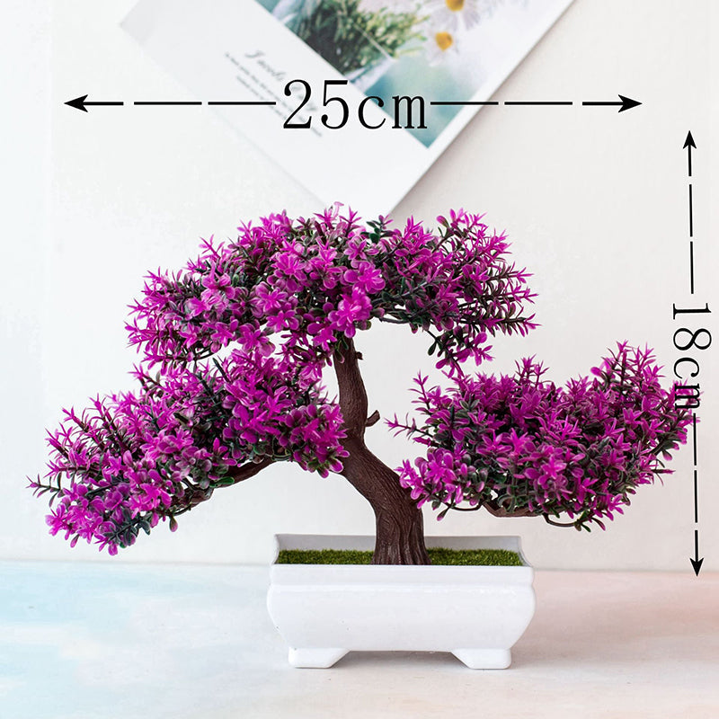 Stornfield | Bonsai Plant